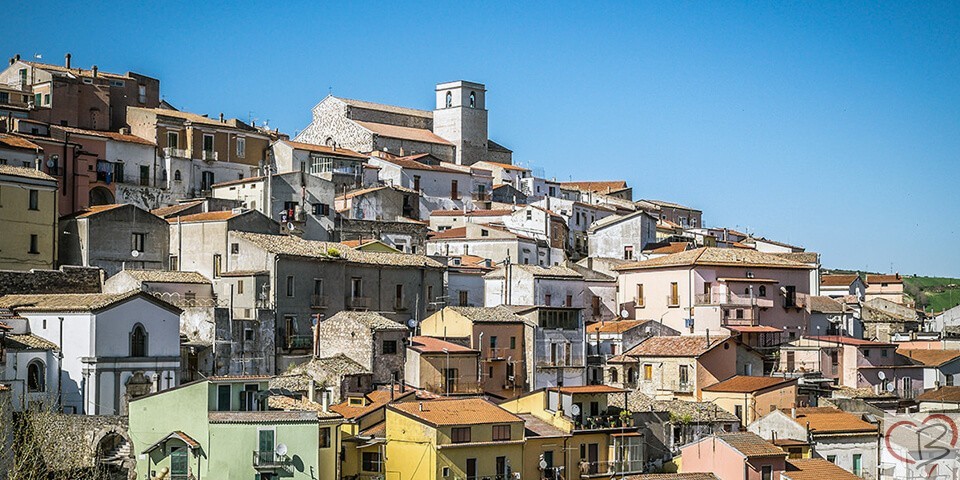 Rapolla rapolla