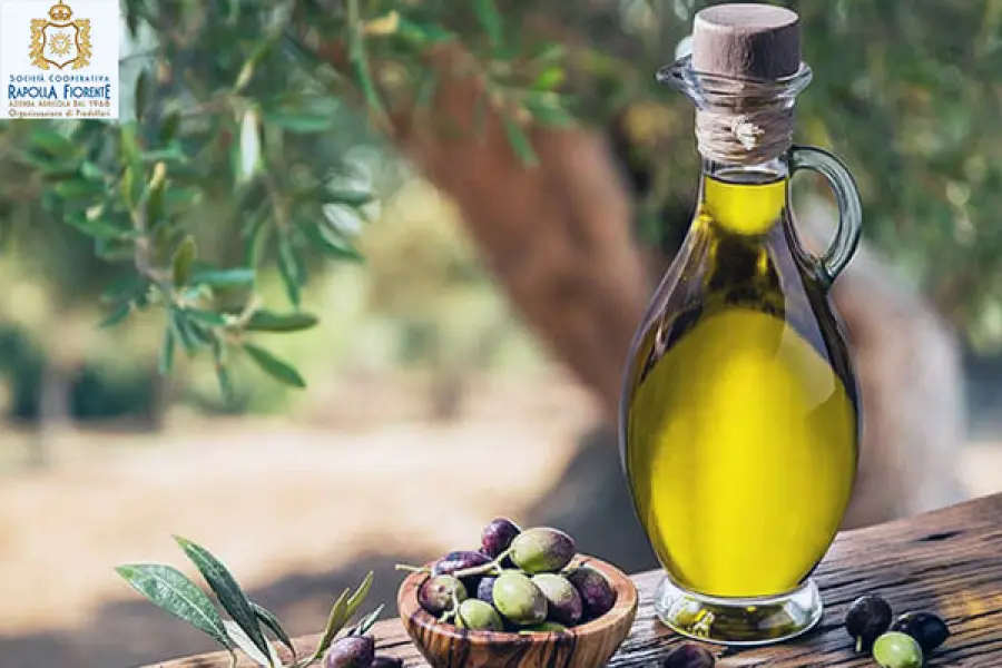 Cooperativa Rapolla Fiorente: il miglior olio extravergine di oliva della Basilicata