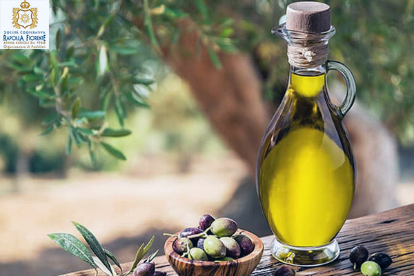 Cooperativa Rapolla Fiorente: il miglior olio extravergine di oliva della Basilicata