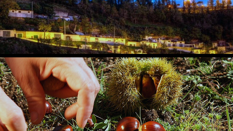 festa della castagna a rapolla